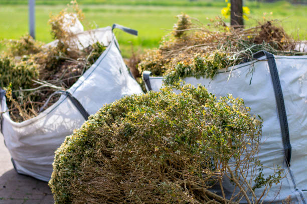 Shed Removal in Goliad, TX